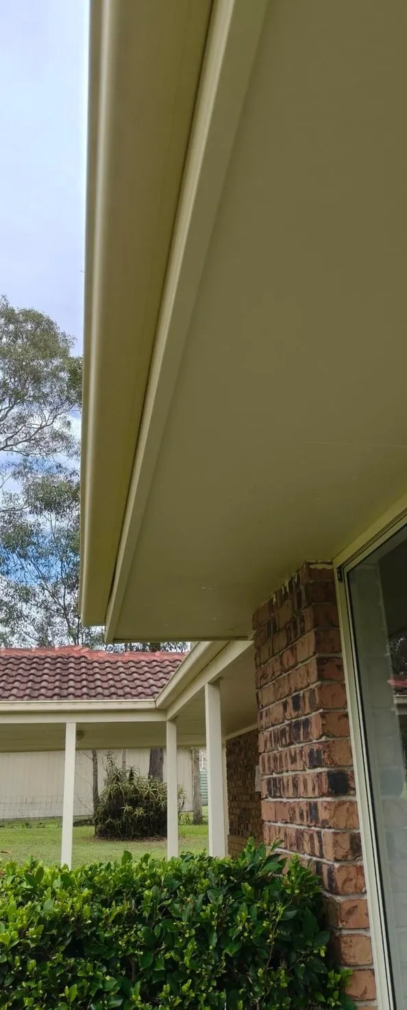 Gutters & fascia — after