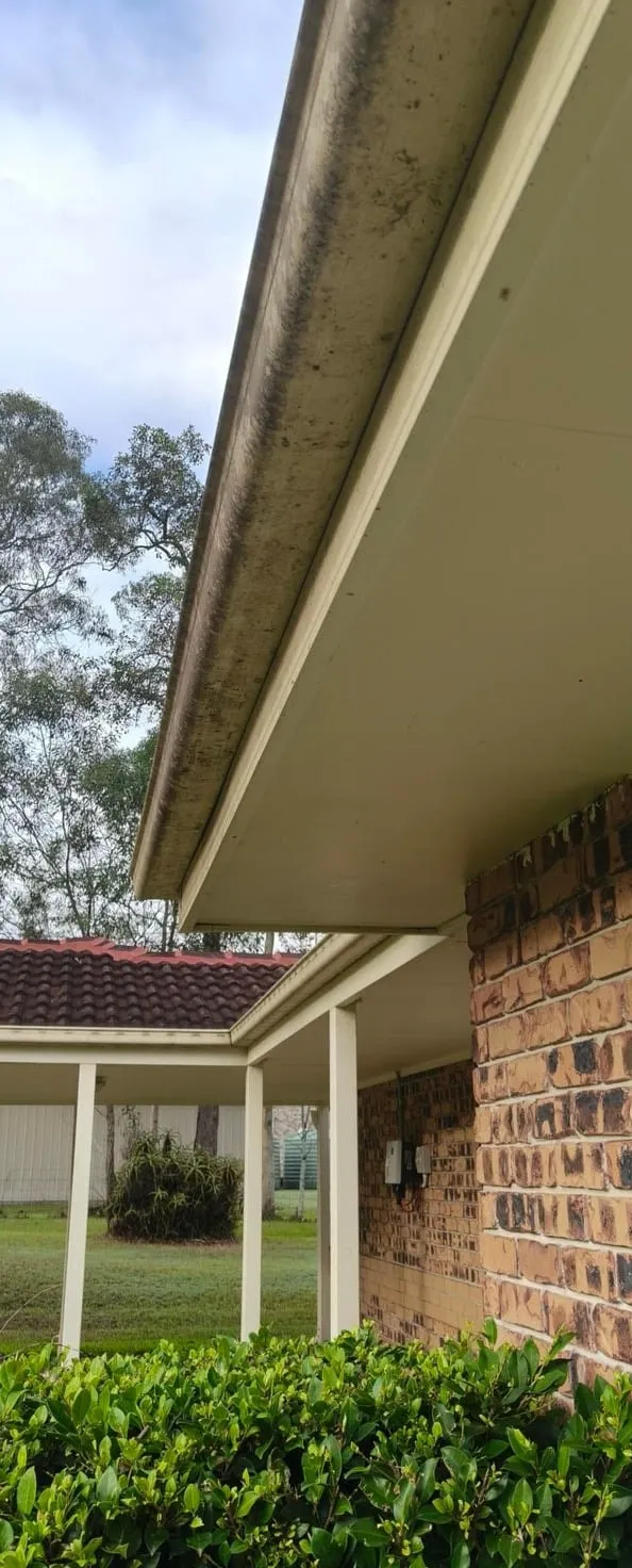 Gutters & fascia — before