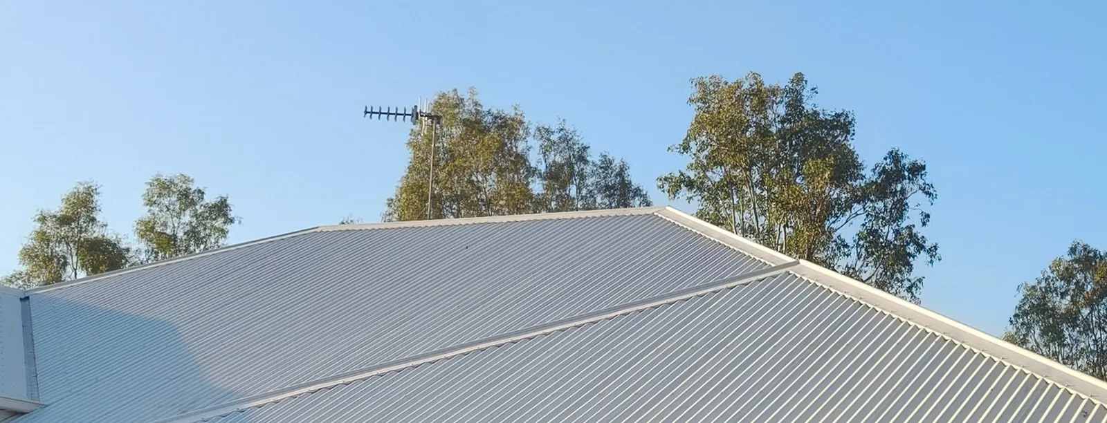 Roof soft wash — after
