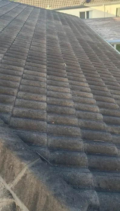 Tile roof — before