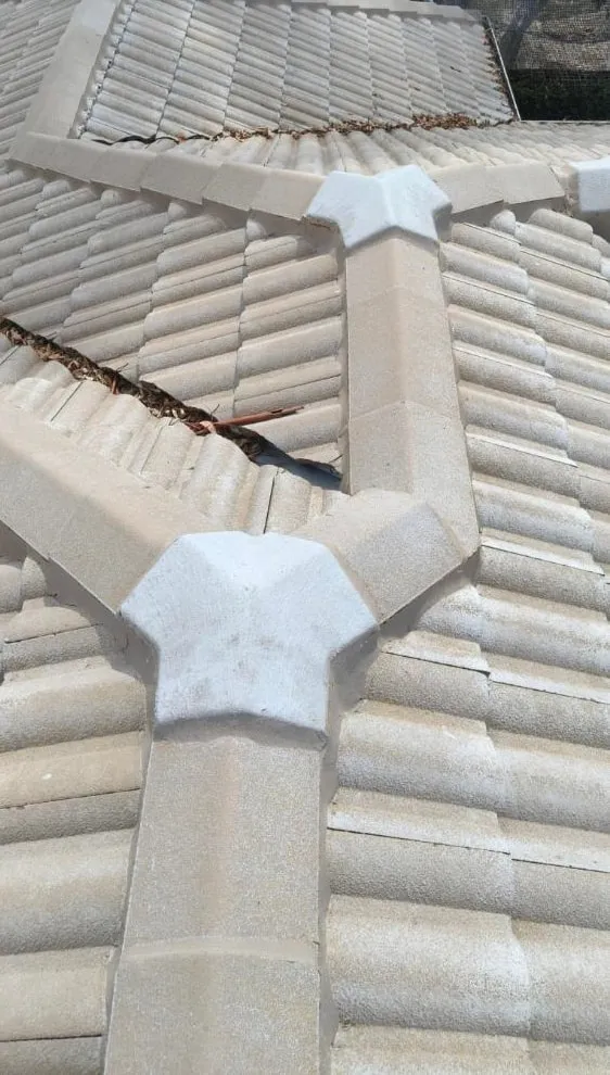 Tile roof — after