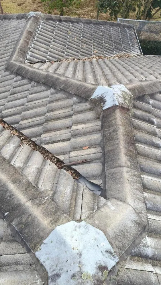 Tile roof — before