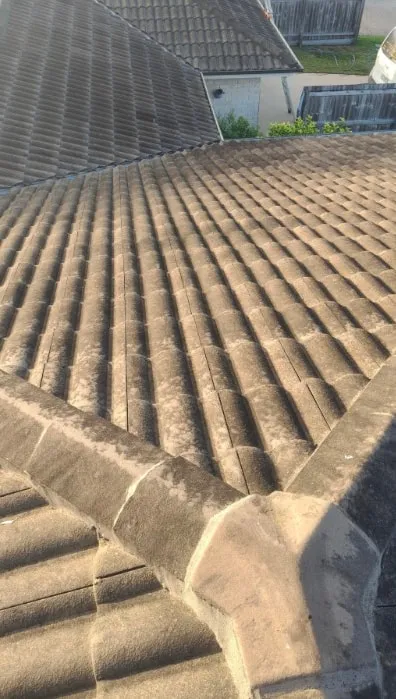 Tile roof — before